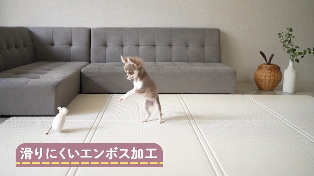 Amazon.co.jp: RK ペットマット 防水 PVC素材 折り畳み 大判 130×190cm